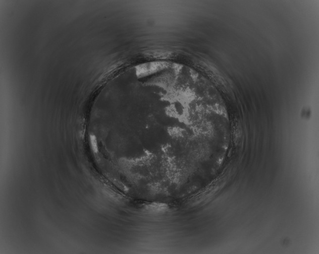 X0000095510374200801041206