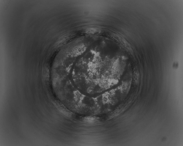 X0000095510375200801041206
