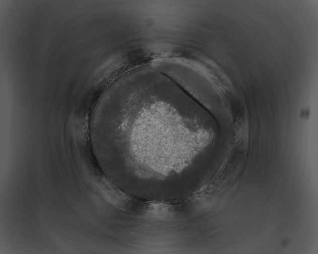 X0000095510376200801041206