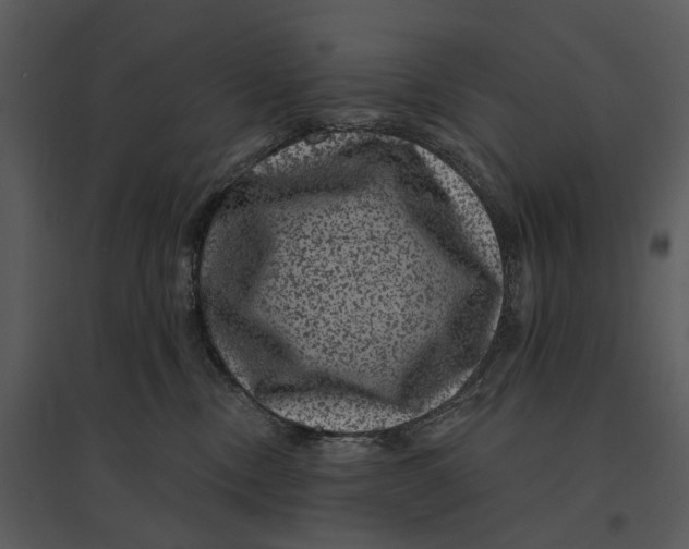 X0000095510378200801041206