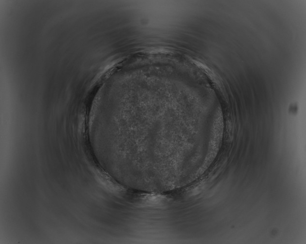 X0000095510379200801041206