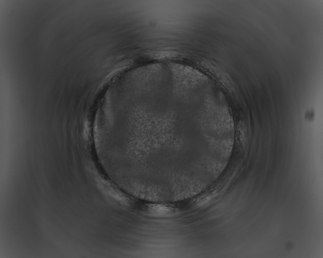 X0000095510380200801041206