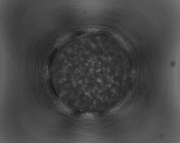 X0000095510381200801041206
