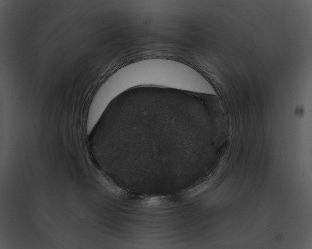 X0000095510382200801041206