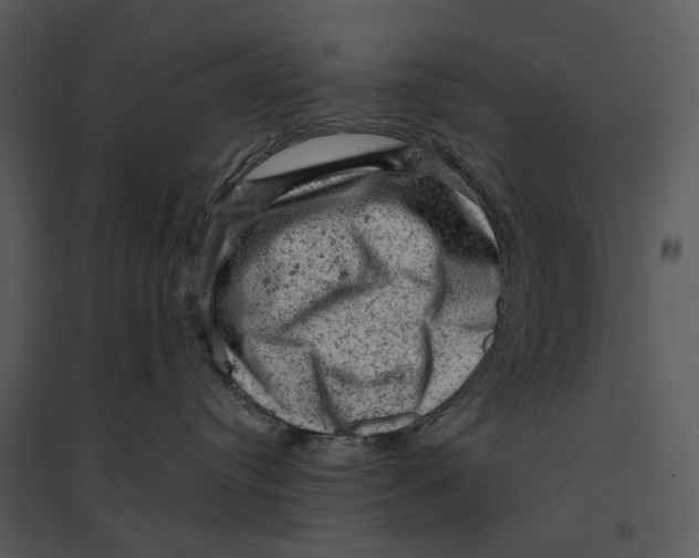 X0000095510384200801041206