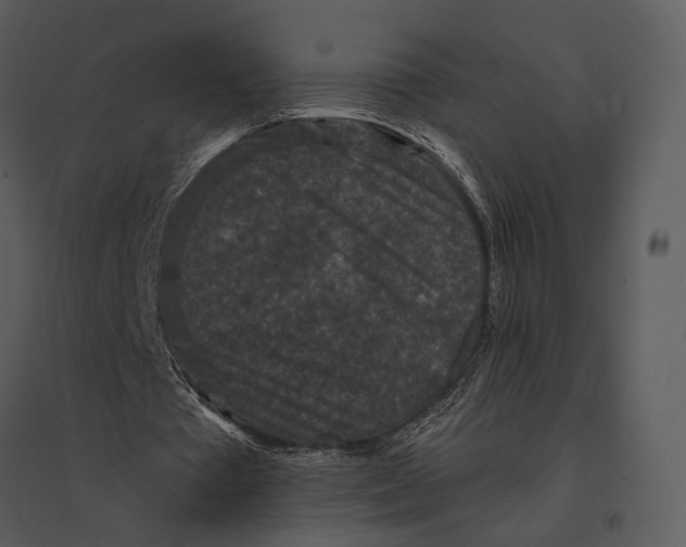 X0000095510385200801041205