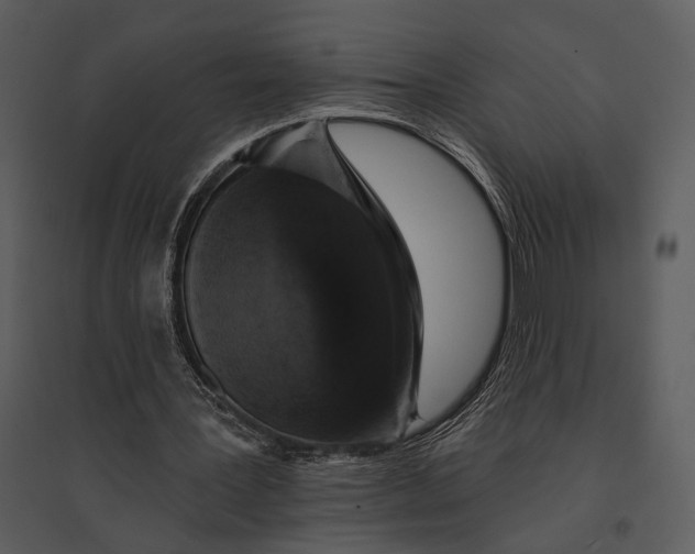 X0000095510387200801041205