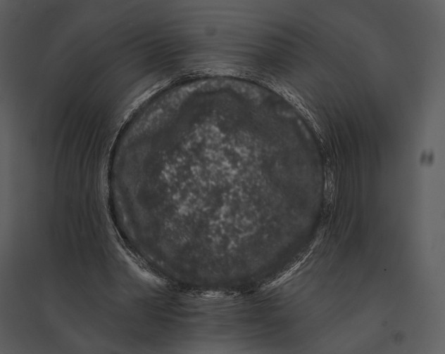 X0000095510390200801041205
