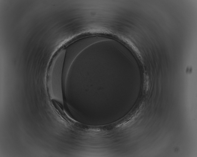 X0000095510391200801041205