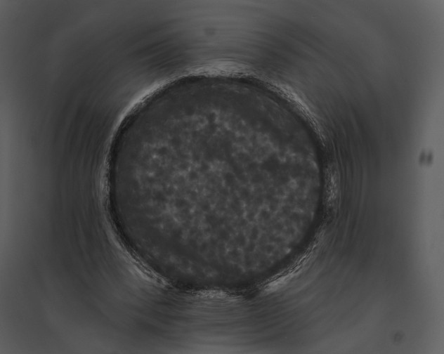 X0000095510392200801041205