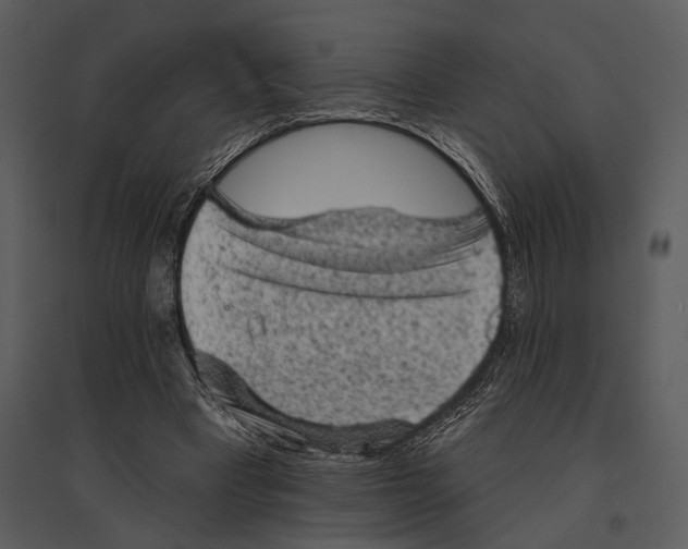 X0000095510393200801041205