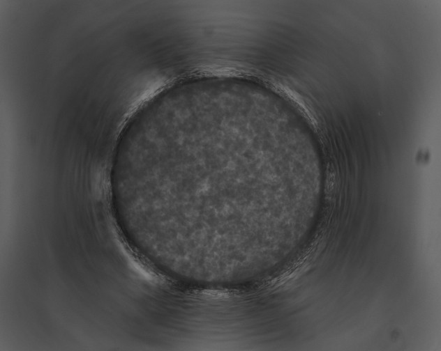 X0000095510394200801041205