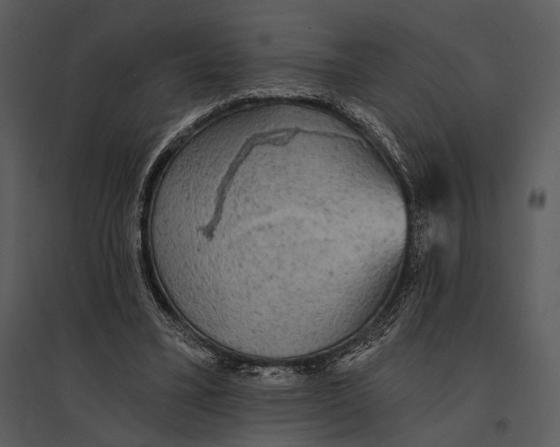 X0000095510395200801041205