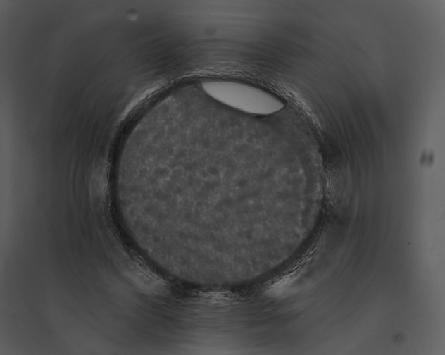 X0000095510396200801041205