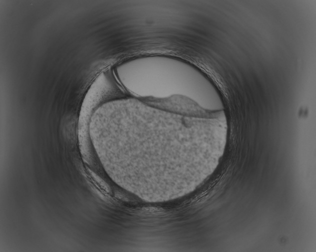 X0000095510397200801041205