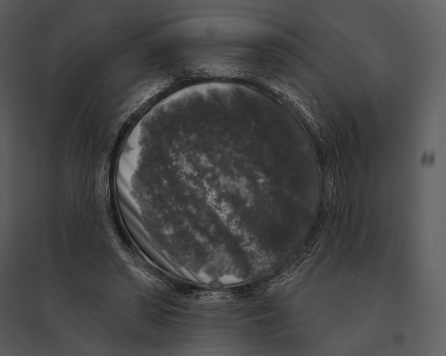 X0000095510398200801041205