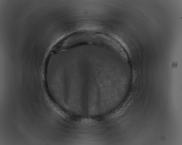 X0000095510399200801041205