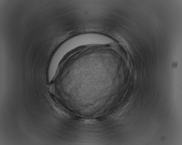X0000095510401200801041205