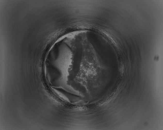 X0000095510402200801041205