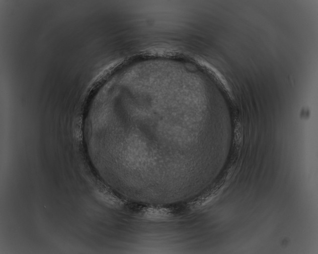 X0000095510403200801041205