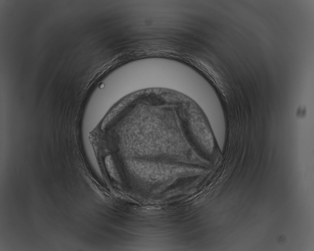 X0000095510405200801041205