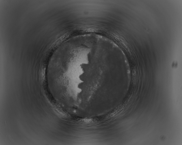 X0000095510406200801041205