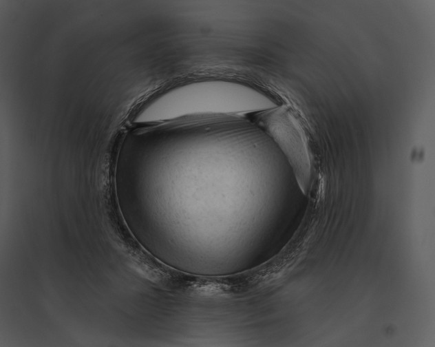 X0000095510407200801041205