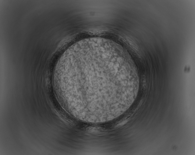 X0000095510408200801041205