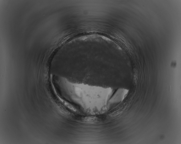 X0000095510410200801041205