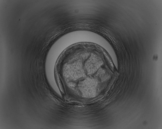 X0000095510411200801041205