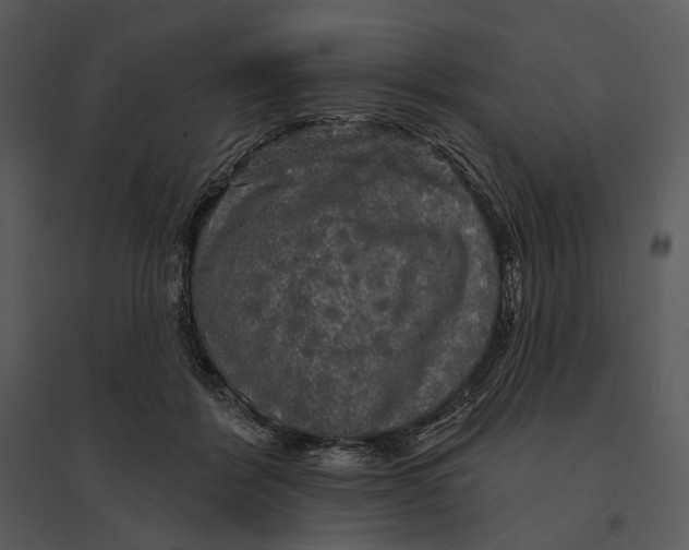 X0000095510412200801041205