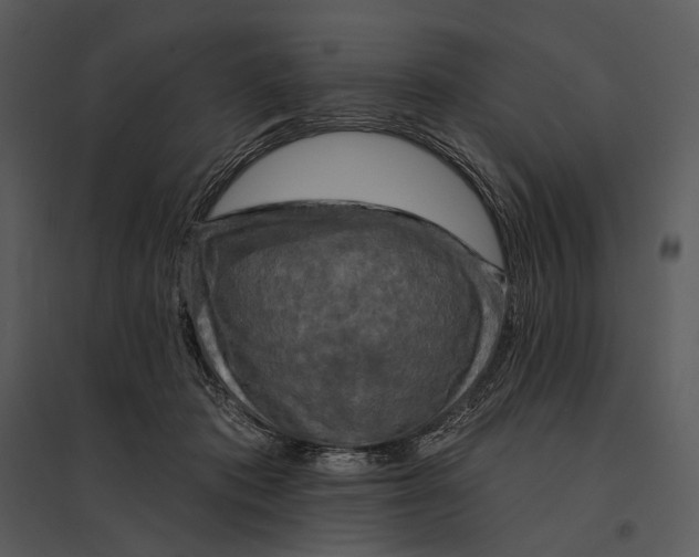 X0000095510413200801041205
