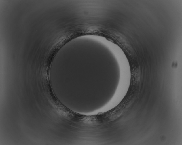 X0000095510415200801041205
