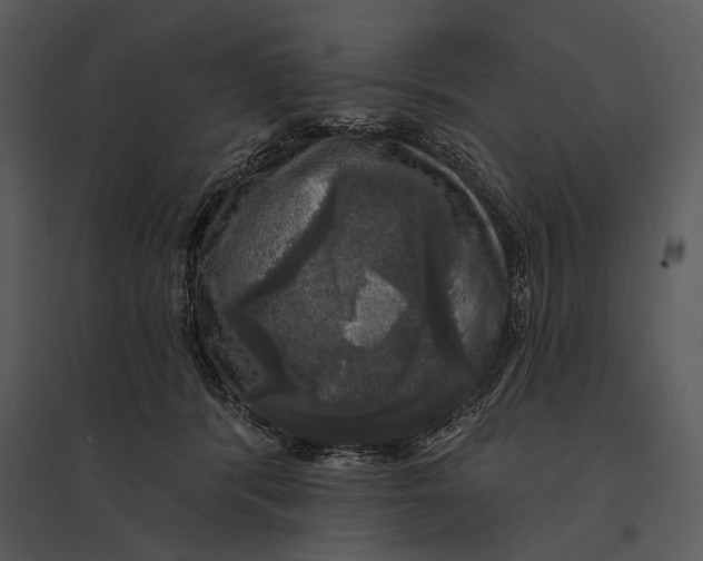 X0000095510416200801041205