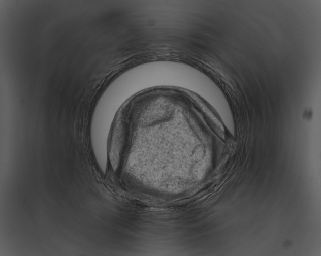 X0000095510417200801041205