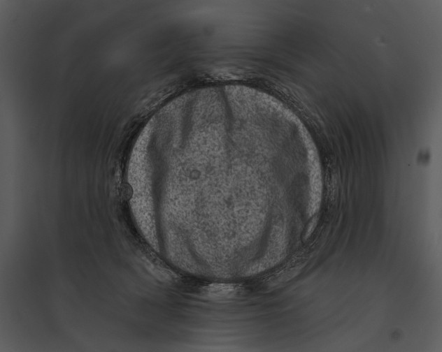 X0000095510418200801041205
