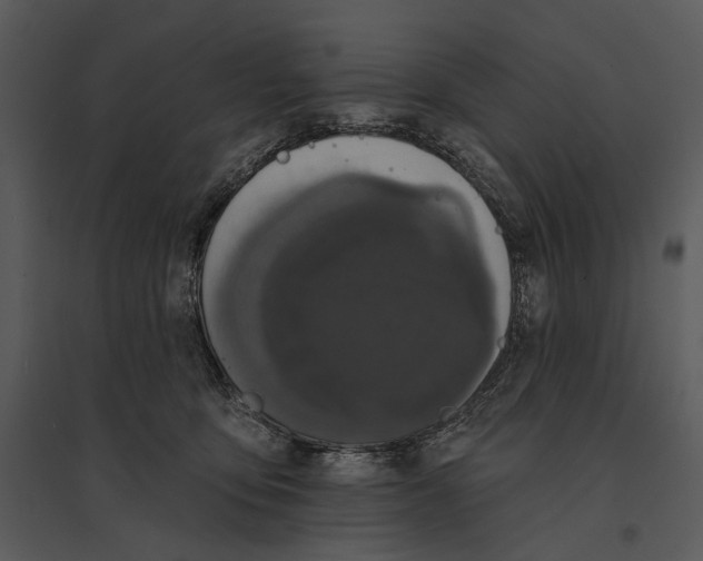 X0000095510419200801041205