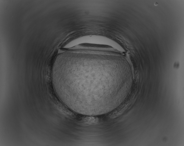 X0000095510421200801041205