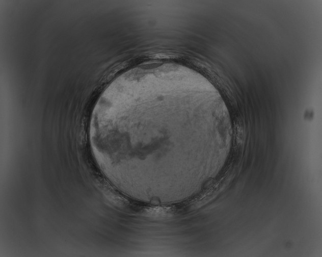 X0000095510422200801041205