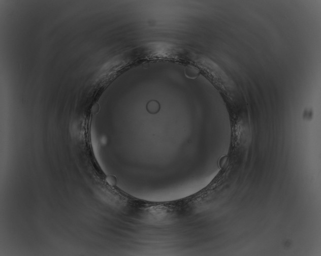 X0000095510423200801041205