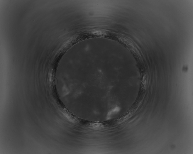 X0000095510424200801041205