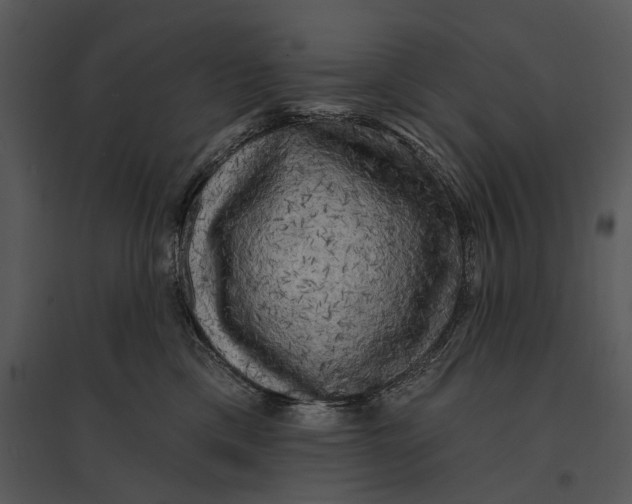 X0000095510425200801041205