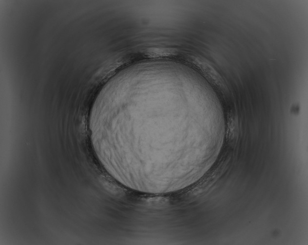 X0000095510426200801041205