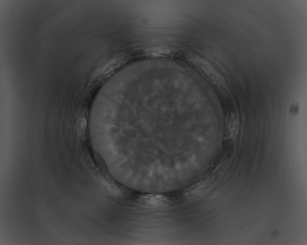 X0000095510427200801041205