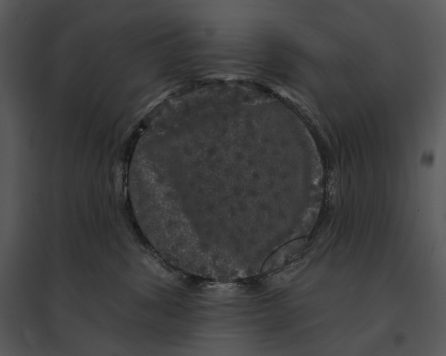 X0000095510428200801041204