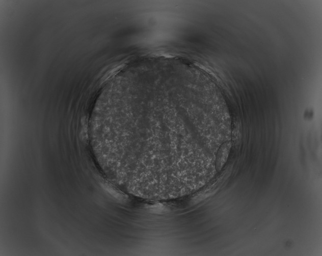 X0000095510430200801041204
