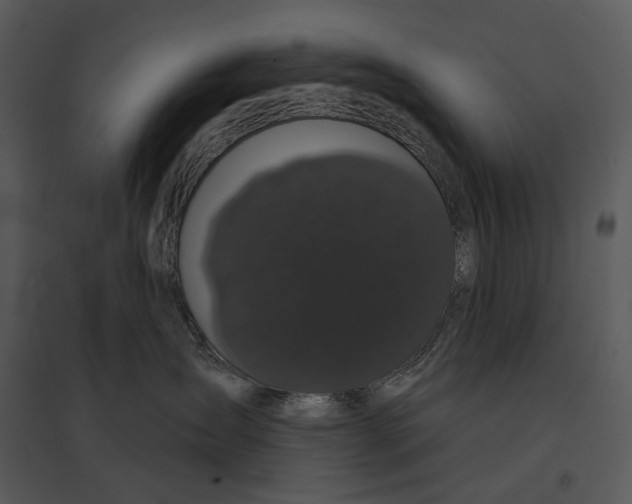 X0000095510431200801041204