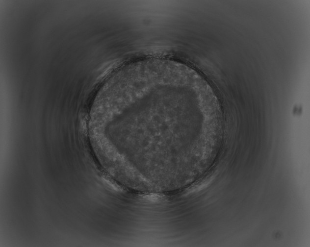 X0000095510432200801041204
