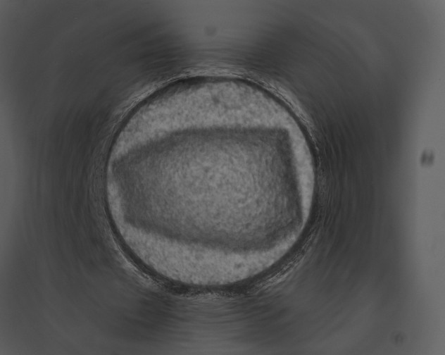 X0000095510433200801041204