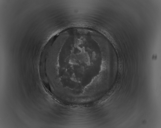 X0000095510434200801041204